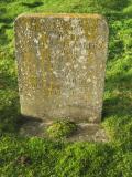 image of grave number 294704